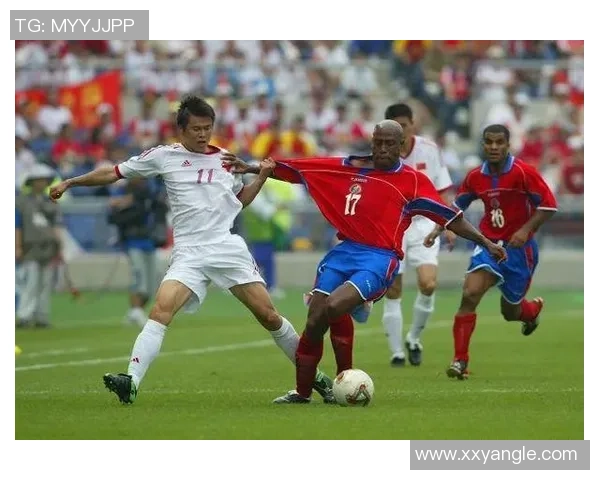 上海羽毛球队逆袭之旅揭秘世界杯背后的奋斗与荣耀